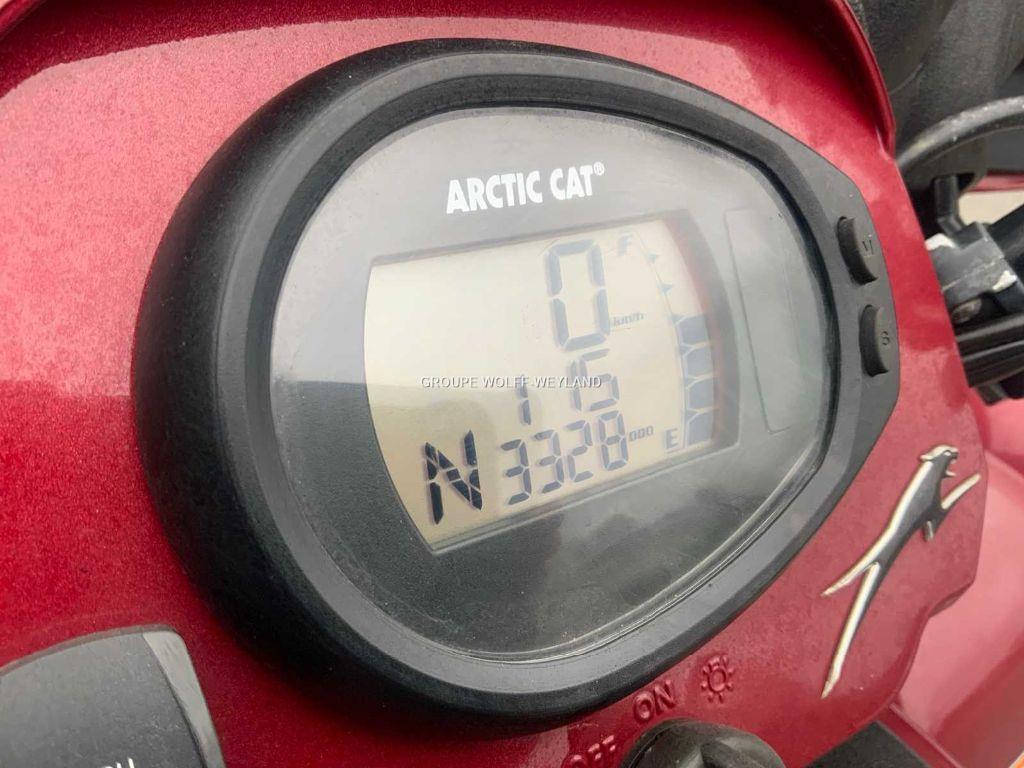 Artic Cat Cruiser 1000