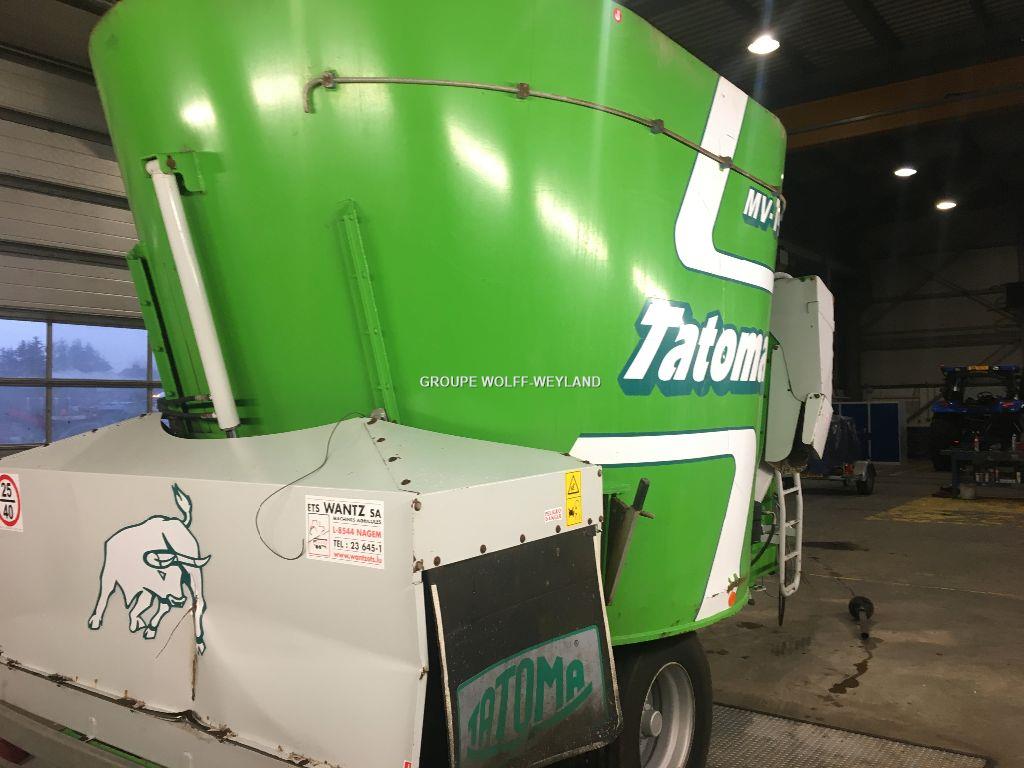 Tatoma mv14