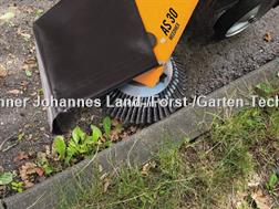 As Motor AS 30 Weedhex 140 - Wildkrautentferner