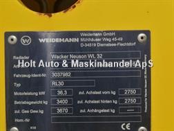 Weidemann 1880