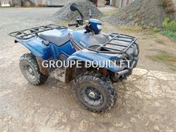 Yamaha QUAD
