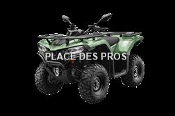 cforce  CFORCE 450 GREEN/BLACK LINE COURT EPS