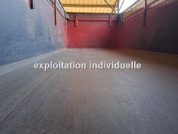 Gilibert RE 120 BMSB