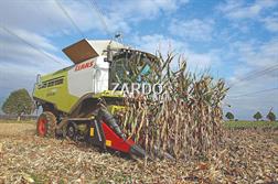 Dominoni 8 RANGS REPLIABLE BROYEUR 80cm