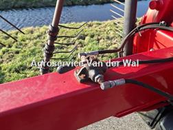 Lely Hibiscus 715 CD