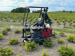 Niko Raupe Mähraupe Mulchraupe Weihnachtsbaumraupe Weih