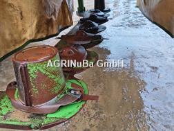 Krone Easy Cut F 320 M