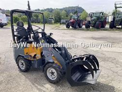 Giant G1100