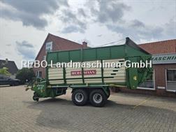 Bergmann SWING 21 S