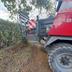 Massey Ferguson 2270