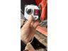 Sodimac RAFAL 3400