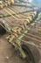Krone SWADRO 46