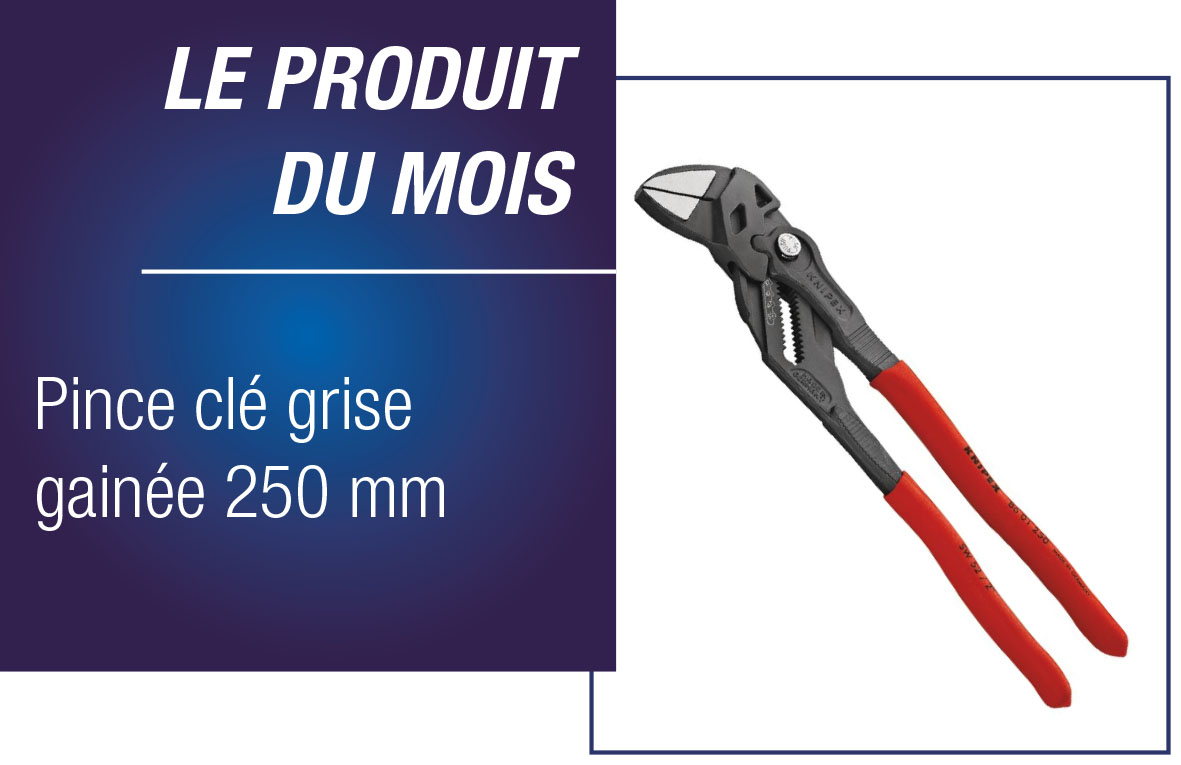 PINCE CLÉ GRISE GAINÉE 250 MM